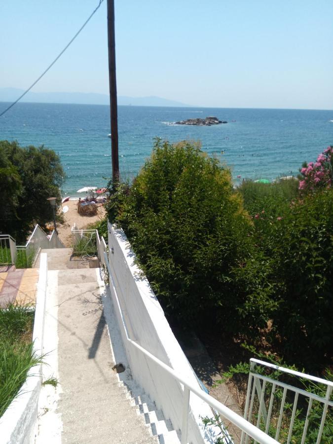 Basileia'S Home PalaiónTsiflíkion 外观 照片